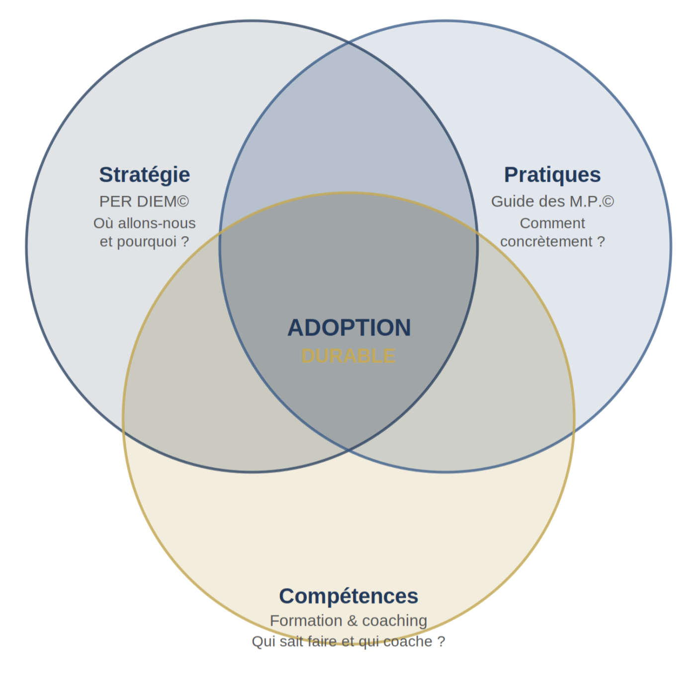 Diagramme de Venn : Stratégie, Pratiques et Compétences convergent vers l'Adoption durable